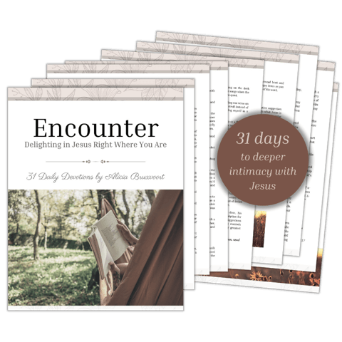 Encounter: Delighting in Jesus Right Where You Are: 31 Daily Devotions by Alicia Bruxvoort